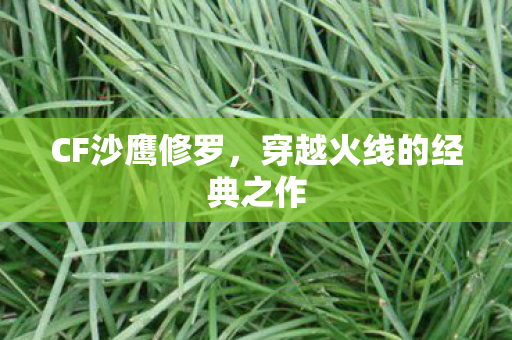 穿越火线的经典之作图片