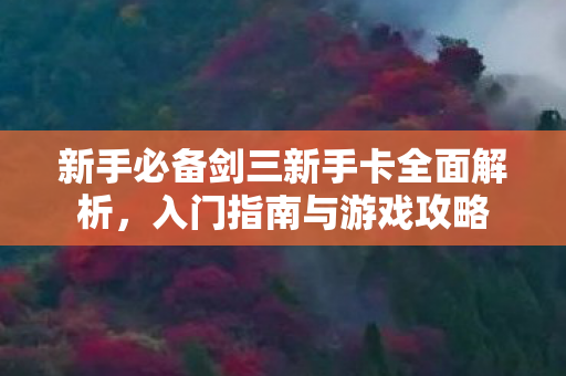 新手必备剑三新手卡全面解析图片