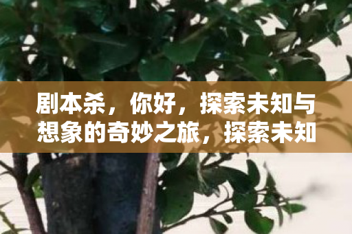 探索未知与想象的奇妙之旅图片