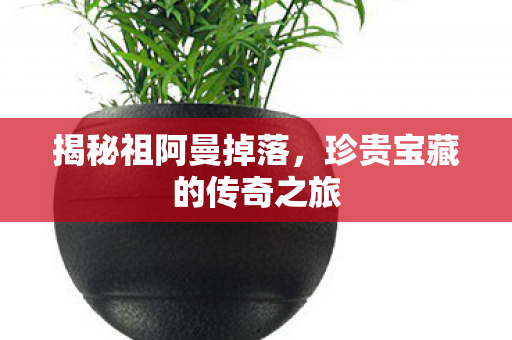 珍贵宝藏的传奇之旅图片