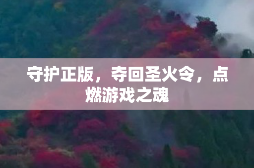 点燃游戏之魂图片