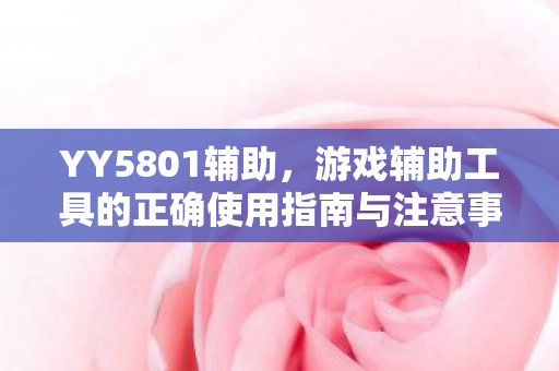 游戏辅助工具的正确使用指南与注意事项图片