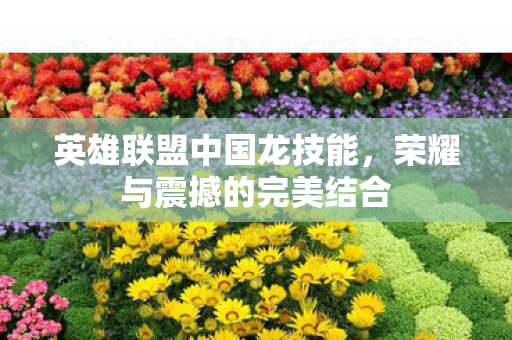英雄联盟中国龙技能,荣耀与震撼的完美结合 英雄联盟中国龙技能,荣耀与震撼的完美结合