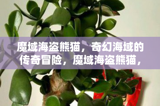 奇幻海域的传奇冒险之旅图片