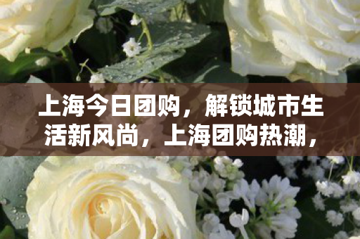 上海今日团购,解锁城市生活新风尚,上海团购热潮,解锁城市生活新风尚 上海今日团购,解锁城市生活新风尚,上海团购热潮,解锁城市生活新风尚