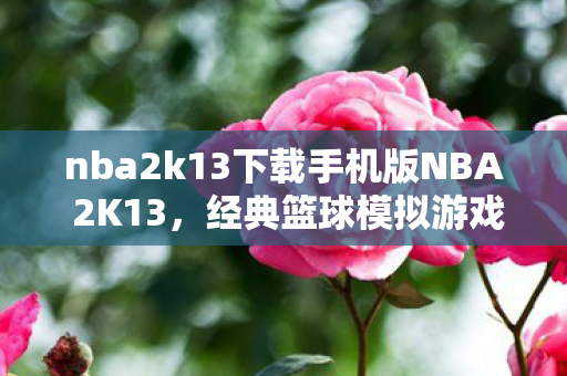 nba2k13下载手机版NBA 2K13图片