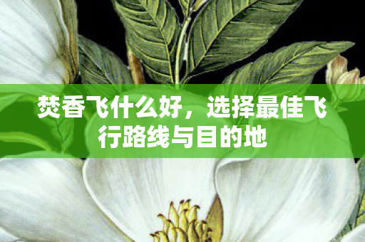 选择最佳飞行路线与目的地图片