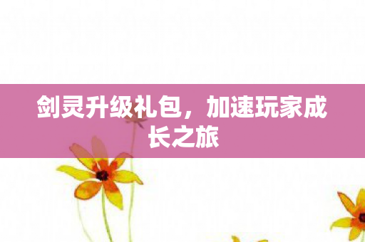 剑灵升级礼包,加速玩家成长之旅 剑灵升级礼包,加速玩家成长之旅