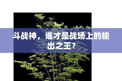 斗战神,谁才是战场上的输出之王? 斗战神,谁才是战场上的输出之王?