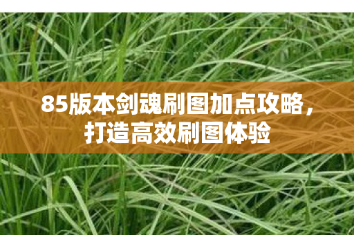 85版本剑魂刷图加点攻略,打造高效刷图体验 85版本剑魂刷图加点攻略,打造高效刷图体验