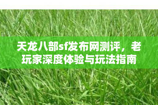 老玩家深度体验与玩法指南图片
