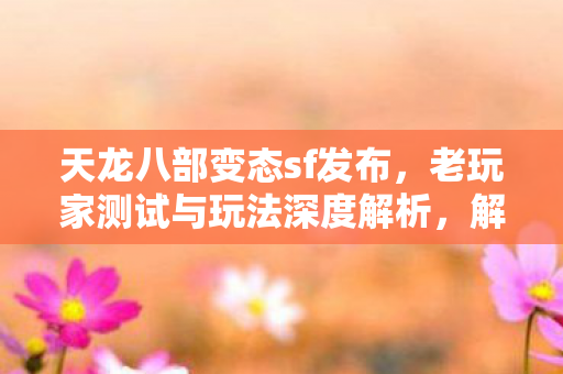 老玩家测试与玩法深度解析图片