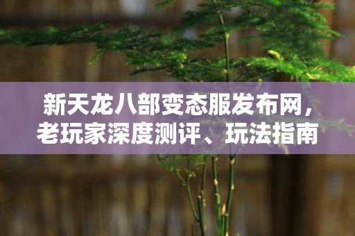 新天龙八部变态服发布网图片