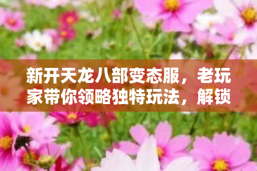 老玩家带你领略独特玩法图片