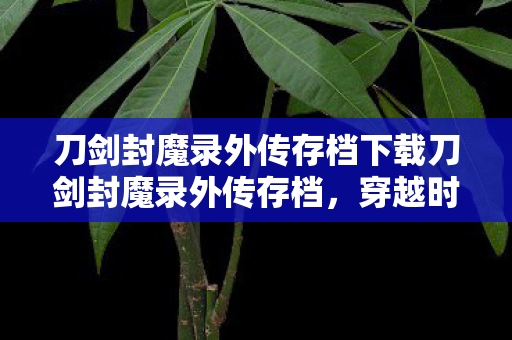 刀剑封魔录外传存档下载刀剑封魔录外传存档图片