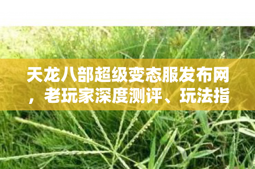 天龙八部超级变态服发布网图片