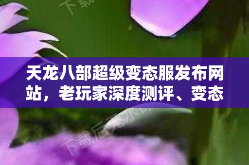 天龙八部超级变态服发布网站图片