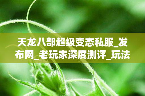 天龙八部超级变态私服图片
