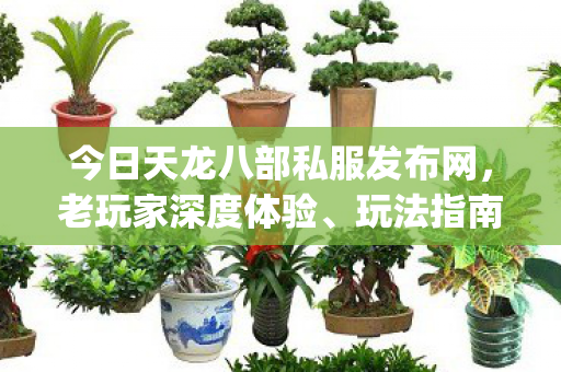 今日天龙八部私服发布网图片