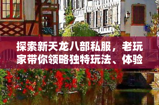 老玩家带你领略独特玩法图片