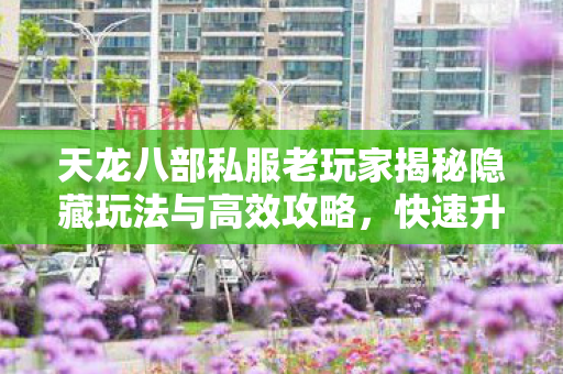 天龙八部私服老玩家揭秘隐藏玩法与高效攻略图片