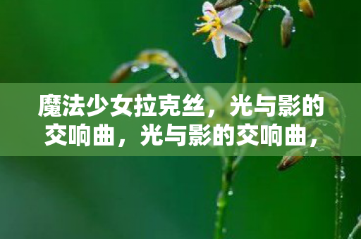 魔法少女拉克丝图片