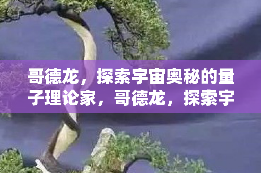 探索宇宙奥秘的量子理论家图片