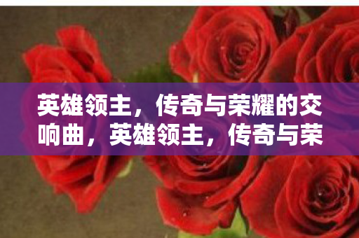传奇与荣耀的交响曲图片