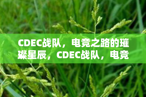 电竞之路的璀璨星辰图片