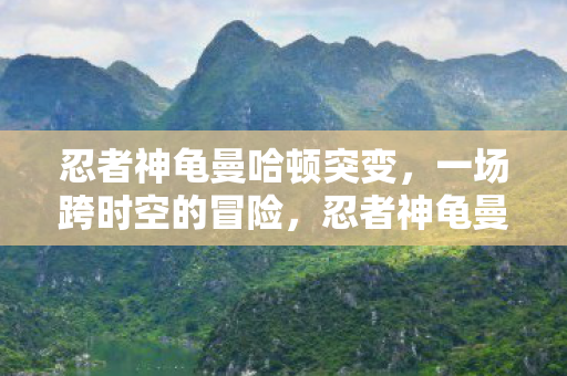 忍者神龟曼哈顿突变跨时空冒险启程图片