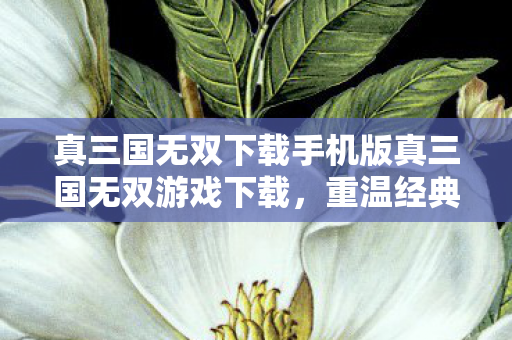真三国无双下载手机版真三国无双游戏下载图片