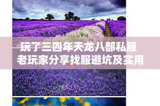 玩了三四年天龙八部私服 老玩家分享找服避坑及实用玩法指南图片