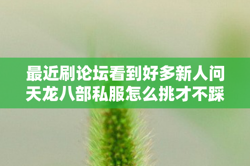 最近刷论坛看到好多新人问天龙八部私服怎么挑才不踩坑图片