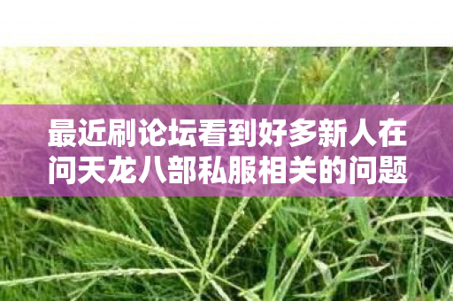 最近刷论坛看到好多新人在问天龙八部私服相关的问题图片