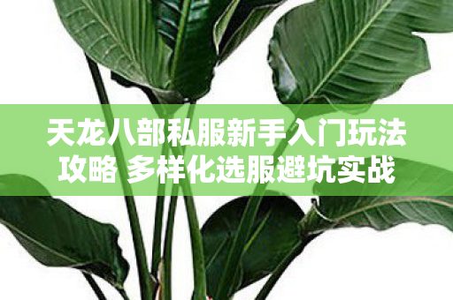 天龙八部私服新手入门玩法攻略 多样化选服避坑实战指导图片