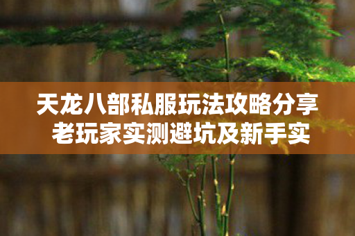 天龙八部私服玩法攻略分享 老玩家实测避坑及新手实战指导图片