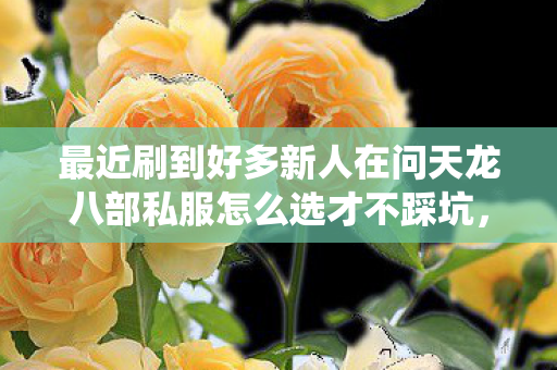 最近刷到好多新人在问天龙八部私服怎么选才不踩坑图片