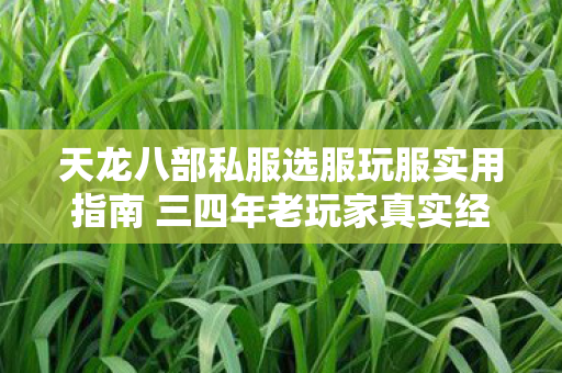 天龙八部私服选服玩服实用指南 三四年老玩家真实经验分享图片