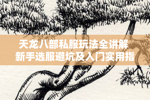 天龙八部私服玩法全讲解 新手选服避坑及入门实用指导图片