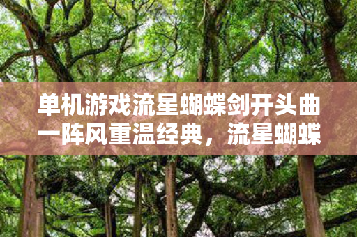 单机游戏流星蝴蝶剑开头曲一阵风重温经典图片