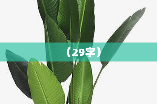 29字图片