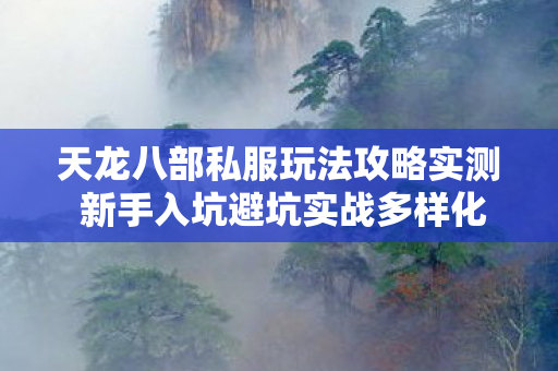 天龙八部私服玩法攻略实测 新手入坑避坑实战多样化指导图片