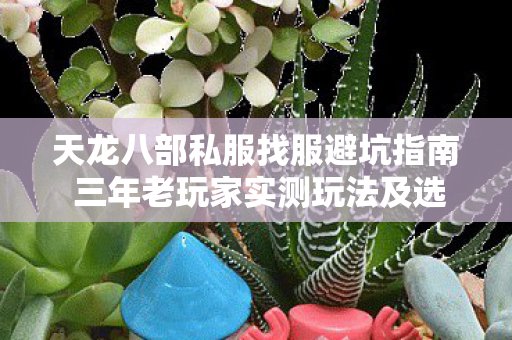天龙八部私服找服避坑指南 三年老玩家实测玩法及选服经验分享图片