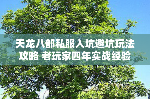 天龙八部私服入坑避坑玩法攻略 老玩家四年实战经验干货分享图片