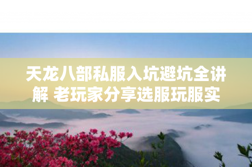 天龙八部私服入坑避坑全讲解 老玩家分享选服玩服实用经验图片