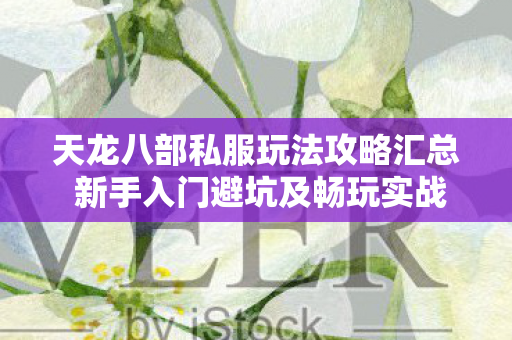天龙八部私服玩法攻略汇总 新手入门避坑及畅玩实战指导分享图片