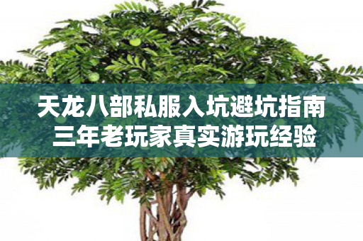 天龙八部私服入坑避坑指南 三年老玩家真实游玩经验分享图片