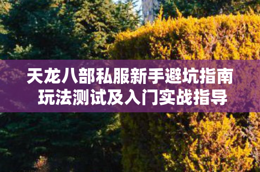 天龙八部私服新手避坑指南 玩法测试及入门实战指导干货分享图片