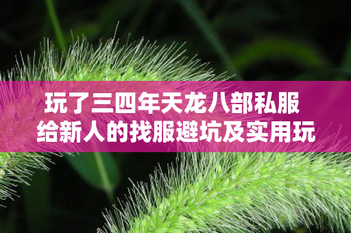玩了三四年天龙八部私服 给新人的找服避坑及实用玩法指南图片