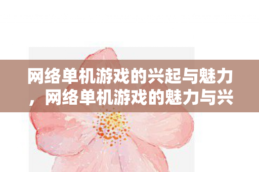 网络单机游戏的兴起与魅力图片